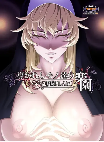 被引导者们的乐园 ～BEDLAM～ 封面