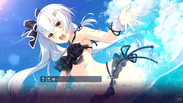 共结情缘的剑舞恋曲 -椿恋歌- 预览图 6