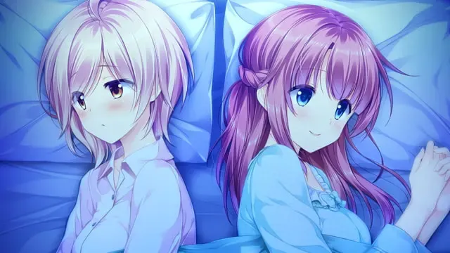 少女缔结的月之光辉 预览图 18