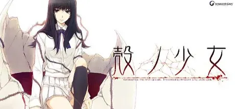 壳之少女 封面