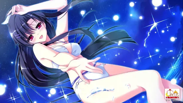 D.S. -Dal Segno- 预览图 5