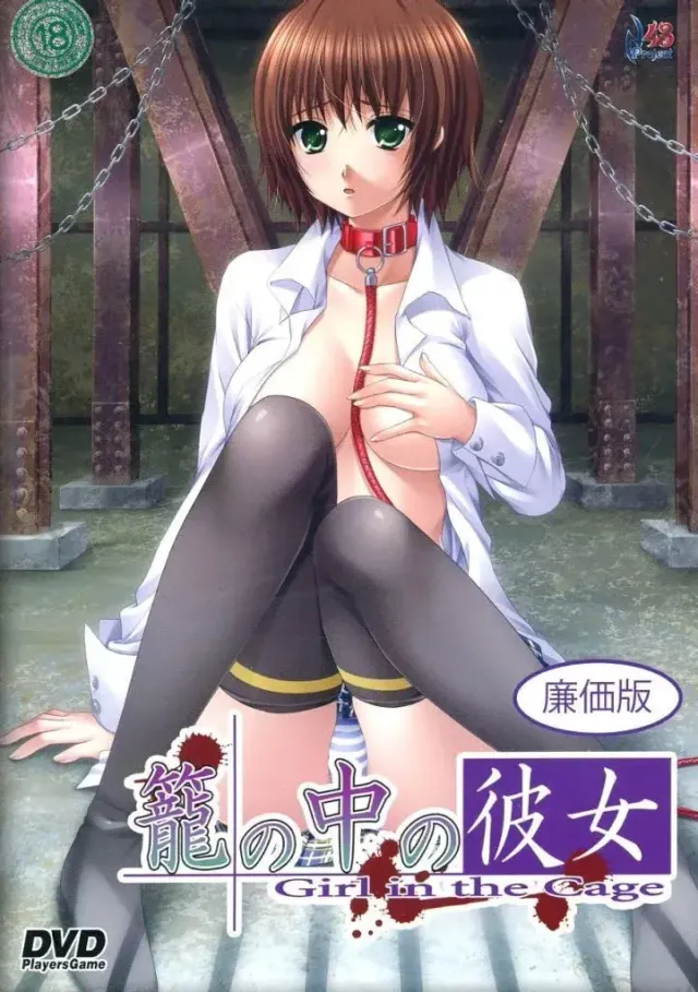 笼中的她 封面