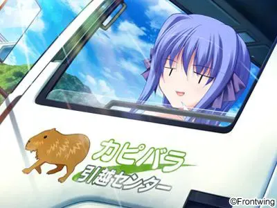 星歌 预览图 16