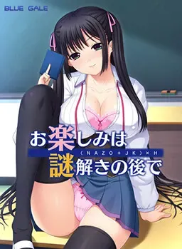 乐趣要留到解谜之后 封面