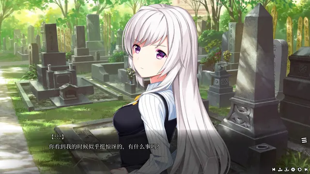 Bloody Chronicles - New Cycle of Death 预览图 5