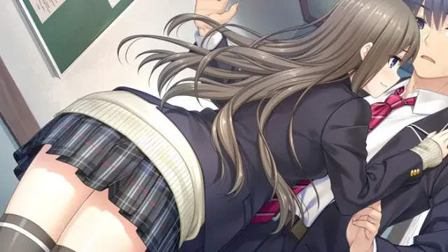 フルキスS 预览图 7