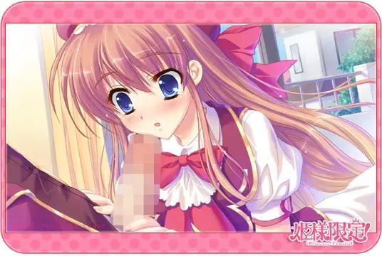 姫様限定！～Princess Limited～ 预览图 1