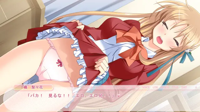妹控 ―催眠师哥哥与嚣张的妹妹― 预览图 4