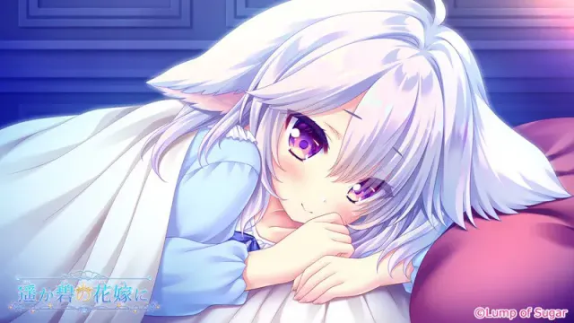 献给蔚蓝之海的新娘 预览图 4