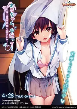 哥哥,帮帮我! ~被拜托进行新娘的夜间特训... 封面