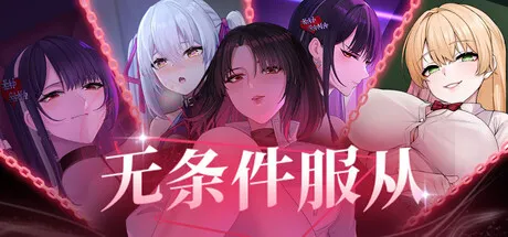 无条件服从 封面