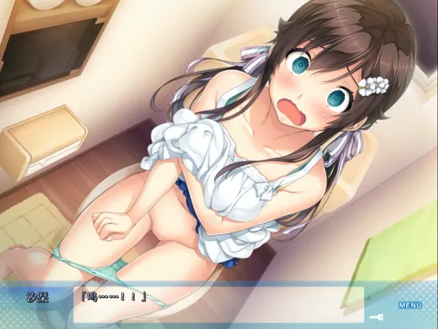爱之钥～甜园夏日～ 预览图 6