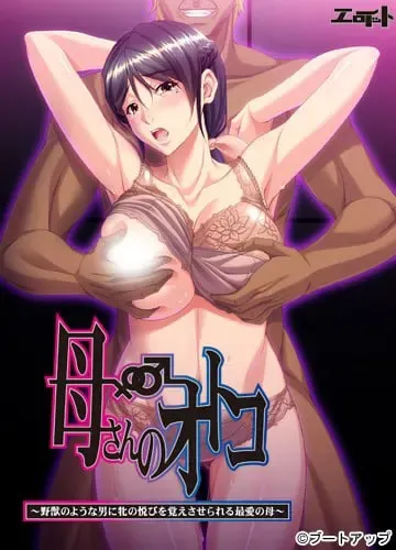 母亲的男人 封面