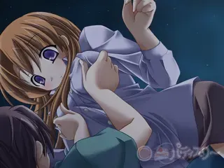 待宵草 预览图 6