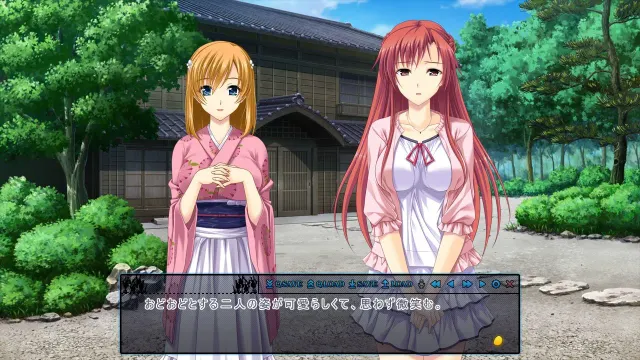 夜袭的七位孕女2 预览图 9