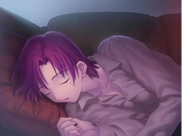 Fate/hollow ataraxia 预览图 2