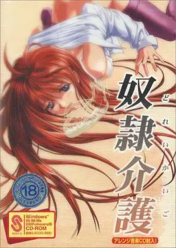 奴隶介护 封面