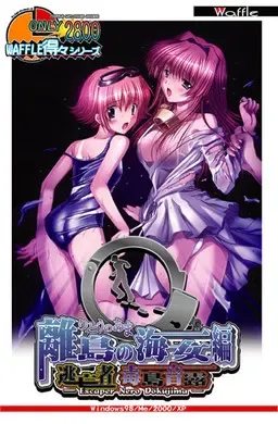 逃亡者 毒岛音露 离岛的海女 封面
