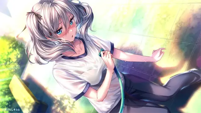 甜蜜女友２＋ 预览图 16