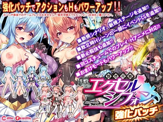 燦然可憐エクセルシフォン 強化パッチ 封面