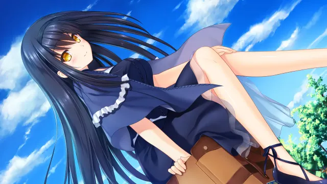 夏日口袋 预览图 7