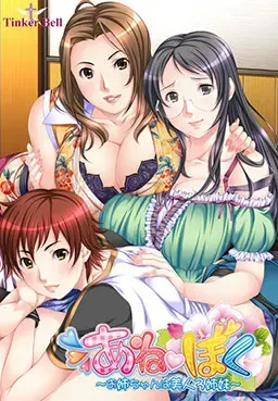姐弟～姐姐是美人3姐妹～ 封面