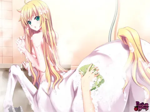 公主XFD ～未婚妻不会结束!?～ 预览图 15