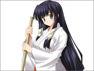 教教我巫女老师2 外传～后宫篇～ 预览图 14