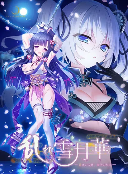 乱雪月华～月夜之淫舞、疯狂之因缘～ 封面