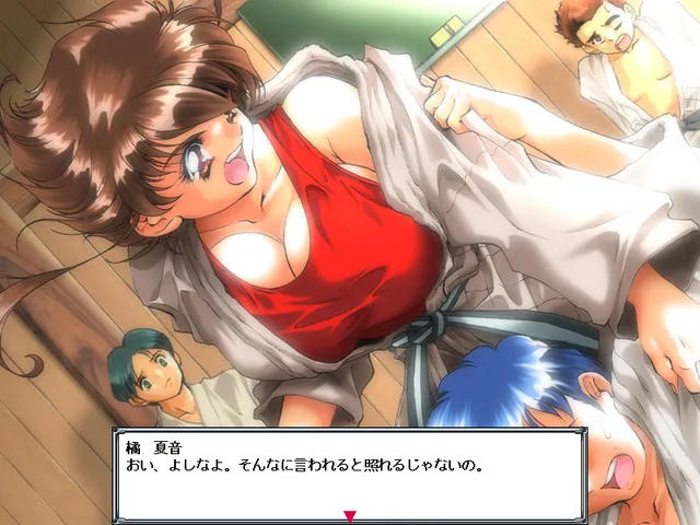 聖少女戰隊3 预览图 3