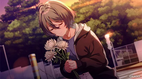 SINce Memories 星穹之下 预览图 1