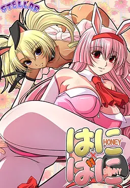 蜂蜜×兔子 封面