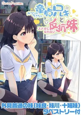 ガマンができない童貞兄キと、スナオになれない反抗妹 APPEND.02 アレから変わった? 封面