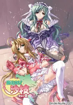 魔法少女沙枝 Vol.2 封面