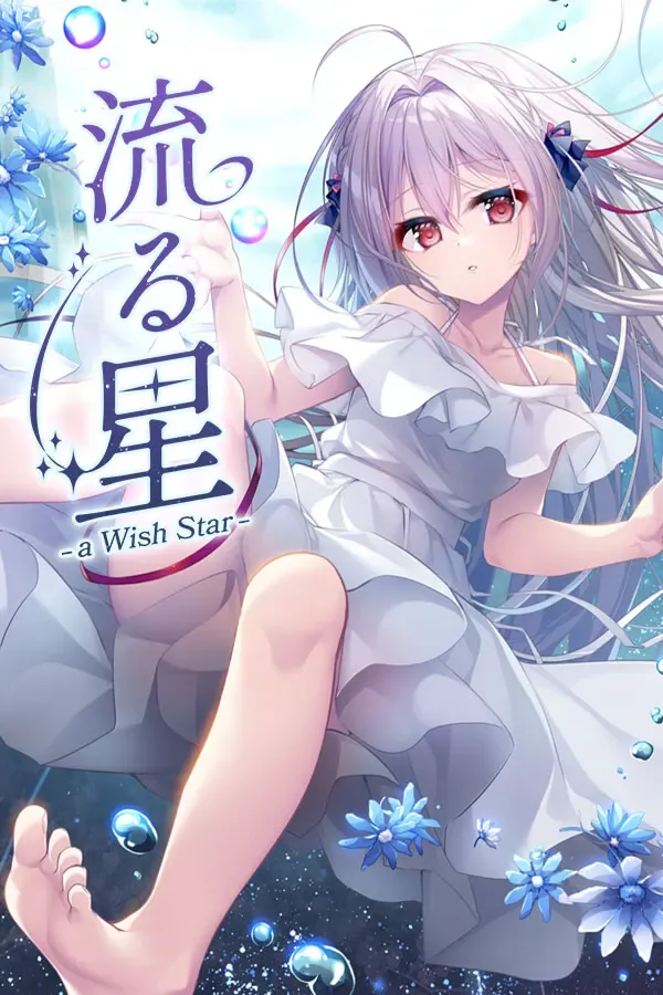 流星 -a wish star- 封面