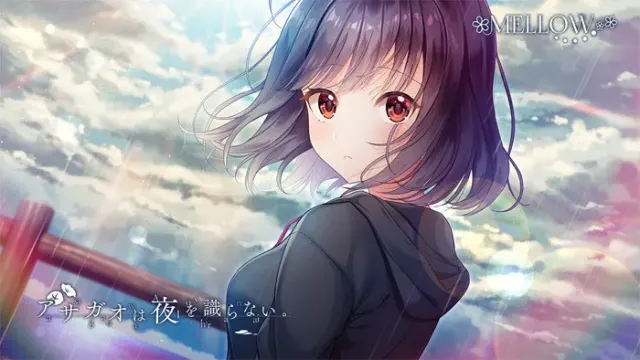 牵牛花不识夜。 预览图 24