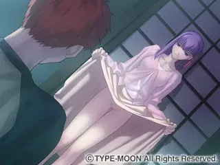 命运之夜 预览图 14