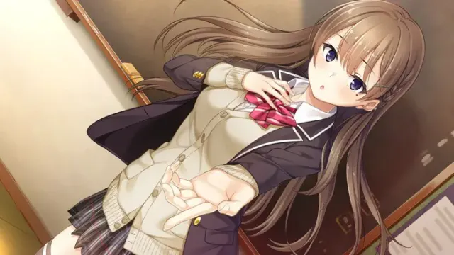 フルキスS 预览图 11