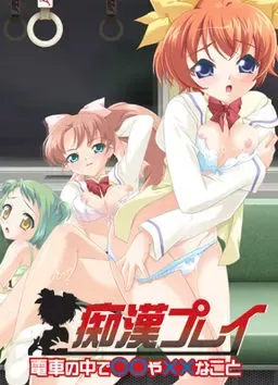 痴汉玩法 在电车里做○○和××的事 封面