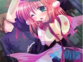 魔女っ娘とりこロール 预览图 13