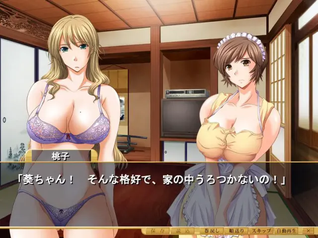 仕舞妻 ～姉妹妻3～ 预览图 3