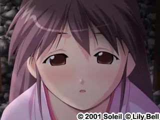手忙脚乱温泉时代剧 ～龟屋～ 预览图 3