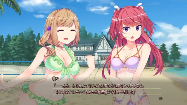 シロガネ×スピリッツ！ 预览图 5