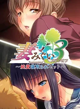 妻中蜜3特典（纯爱篇和寝取篇） 封面