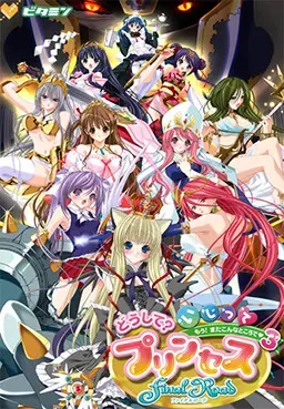 为什么?调戏公主 Final Road~真是的!又在这种地方3~ 封面