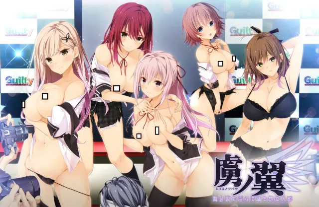 虏之翼 ～在幕后淫乱起舞的处女人偶～ 封面