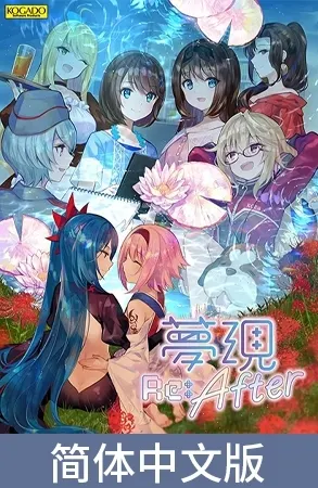 梦现Re:After 封面
