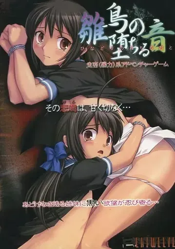 雏鸟坠落之音 封面
