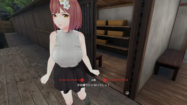 招桃花温泉物语 VR 预览图 9