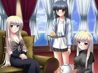 公主大人是王女 预览图 14
